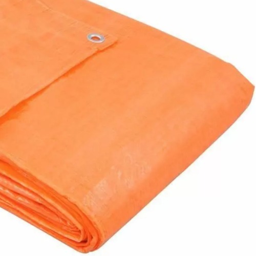 Lona de polietileno 6 x 4 m