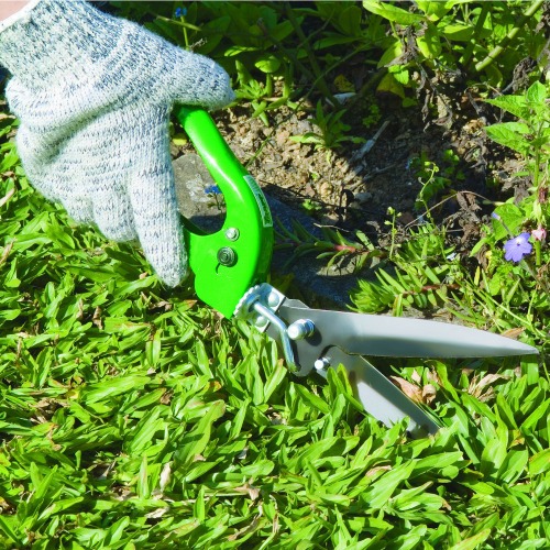 Tesoura manual para cortar grama - TS-180 Tesoura manual para cortar grama - TS-180