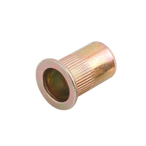 Rebite de rosca M10 com 10 pe�as	
