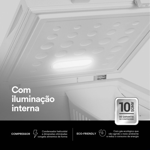 Freezer e Conservador Horizontal 110 litros EcoGelo - EFH120X  110V