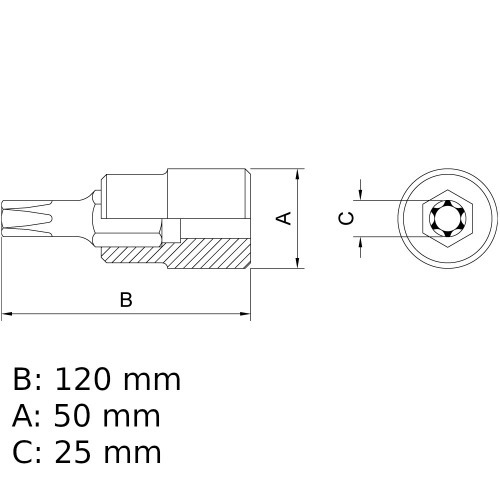 Soquete com ponta hexalobular T-60 encaixe 1/2