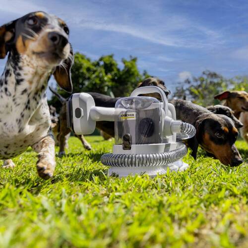 Aspirador de Pelos e Tosador para pets - Pet Clean  110V