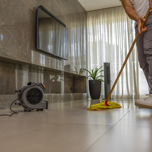 Ventilador e secador de pisos 200W com três níveis de velocidade - DRY MAX 110V Ventilador e secador de pisos 200W com três níveis de velocidade - DRY MAX 110V