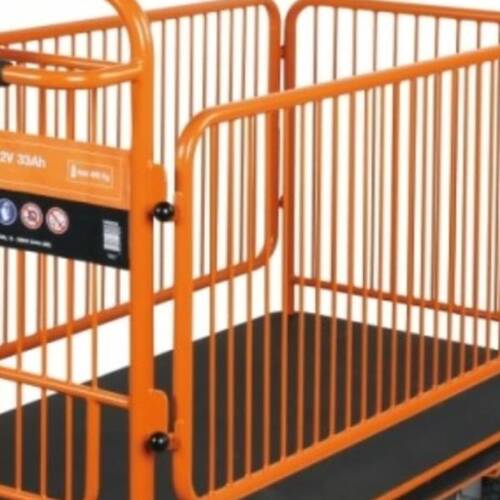 Carrinho plataforma el�trico com grades 400W 24V capacidade 400 kg a bateria - C48M  220V