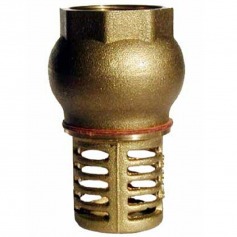 V�lvula de p� para po�o com crivo 1