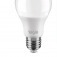 L�mpada led bulbo 9W 810 l�mens branca fria - A60  110V/220V