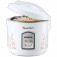 Kit Panela el�trica de arroz Bianca Rice NPE-05-5X + Espremedor de frutas 1,25L E-01  110V
