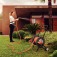 Mangueira para jardim 1/2