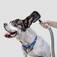 Aspirador de Pelos e Tosador para pets - Pet Clean  110V