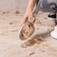 Aspirador de Pelos e Tosador para pets - Pet Clean  110V