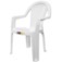565866_cadeira_plastica_com_bracos_jacarecica