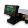 Balan�a digital com plataforma em a�o inox 6 Kg x 1 g - DP CL  110V/220V