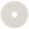 569946_disco_superpolidor_de_fibra_para_enceradeira_510_mm_branco_hb004823587