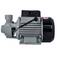 Motobomba perif�rica 1 hp vaz�o de 50 L/min - SGT-5701-PRO  110V/220V